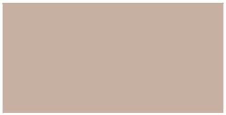 Rectangle 151 x 75 (Carnation Pink)