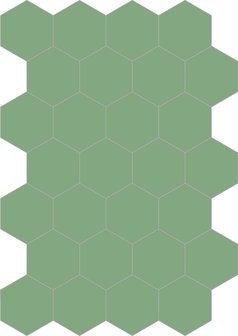 Bisazza cementtegel Hexagon Lichene E 200 x 230
