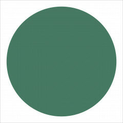 Winckelmans Rounds Vert Fonce, 18 x 9 (op net)