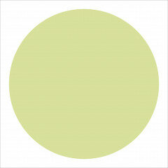 Winckelmans Rounds Vanille, 18 x 9 (op net)