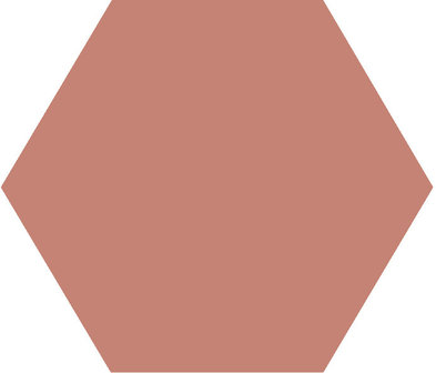 Winckelmans Hexagon Vieux Rose, 50 x 50 x 5 (op net)