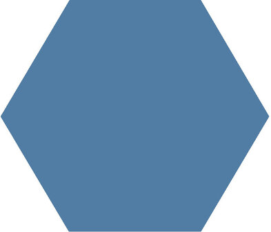 Winckelmans Hexagon Bleu Fonce, 50 x 50 x 5 (op net)