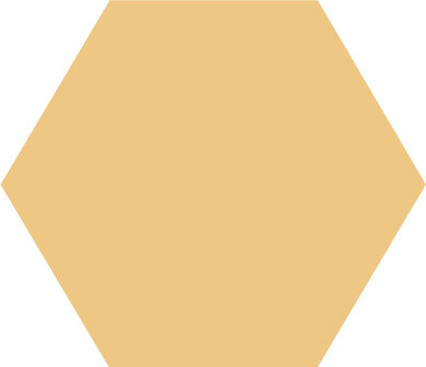 Winckelmans Hexagon Cognac, 100 x 100 x 9