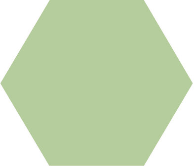 Winckelmans Hexagon Pistache, 50 x 50 x 5 (op net)