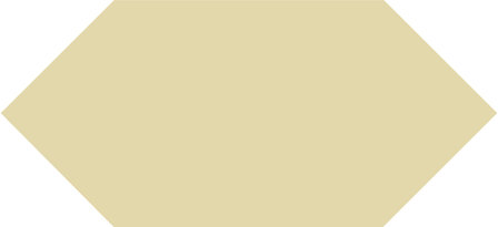Winckelmans Shuttles Vanille, 150 x 70 x 9