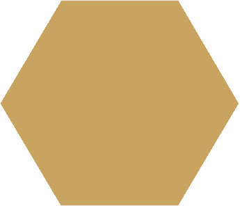 Winckelmans Hexagon Jaune, 25 x 25 x 3,8 (op net)
