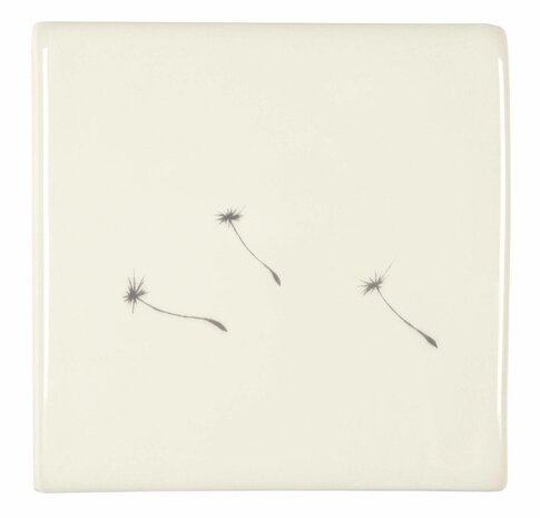 Dandelion Seeds , 105 x 105 x 10