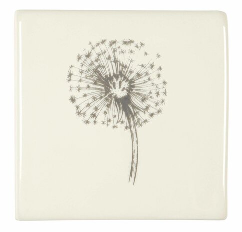 Dandelion , 105 x 105 x 10