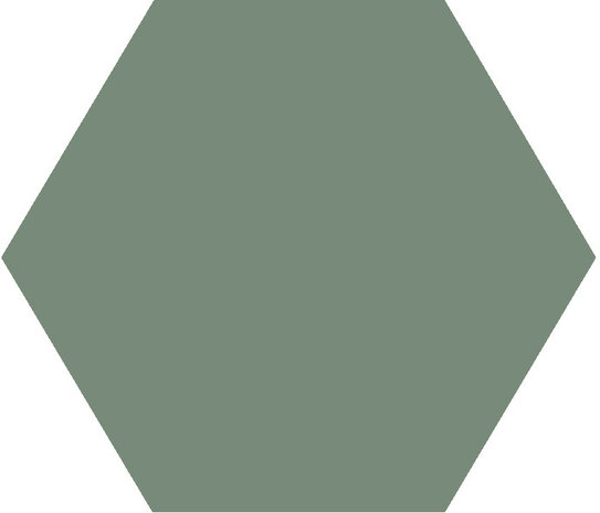 Winckelmans Hexagon Vert Pale, 50 x 50 x 5 (op net)
