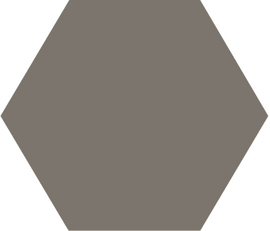 Winckelmans Hexagon Anthracite, 50 x 50 x 5 (op net)