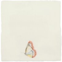 Painted Beauty , 130 x 130 x 10